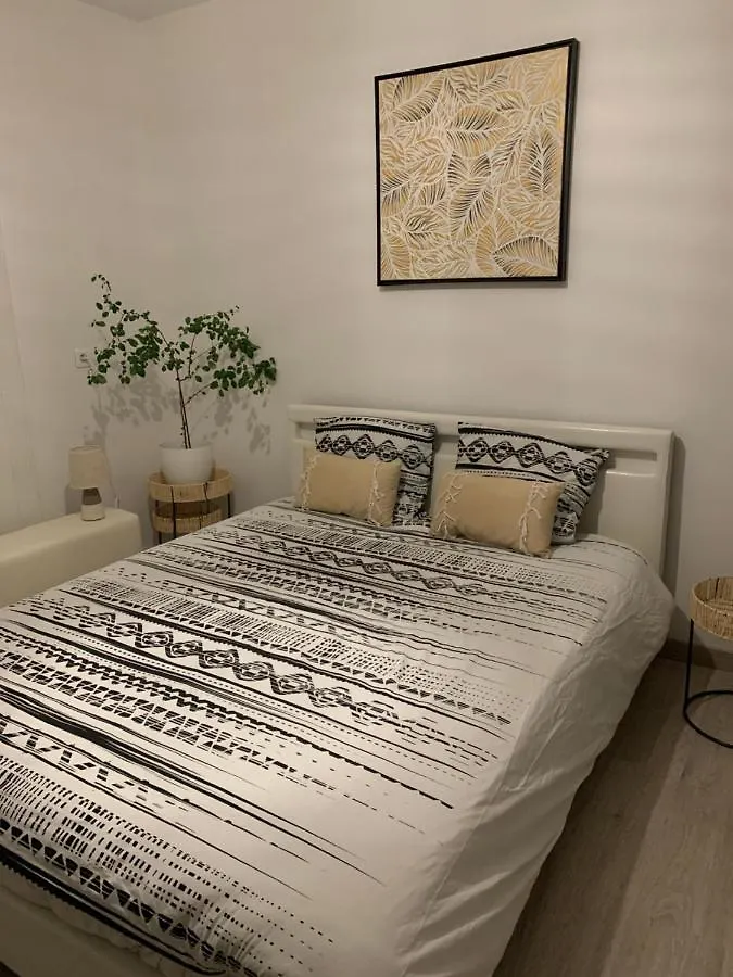 Chez Mat Bed & Breakfast Thonon-les-Bains 0*,  France
