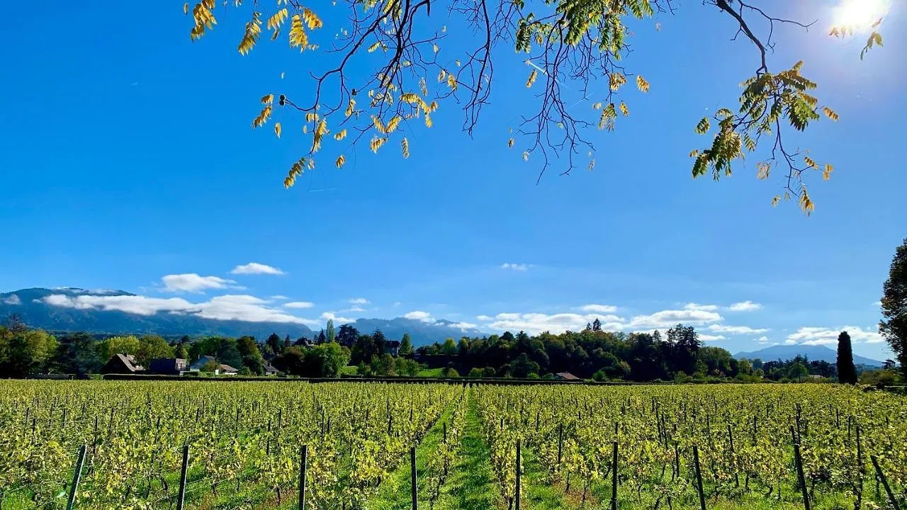 Chez Mat Bed & Breakfast Thonon-les-Bains France